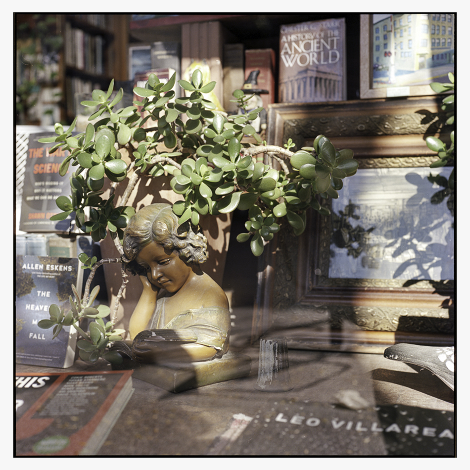 Professional Film Scanning Services Madison, Wisconsin