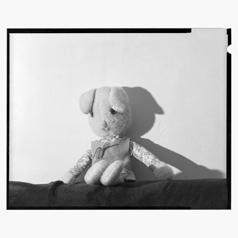 Professional Film Scanning Services Madison, Wisconsin