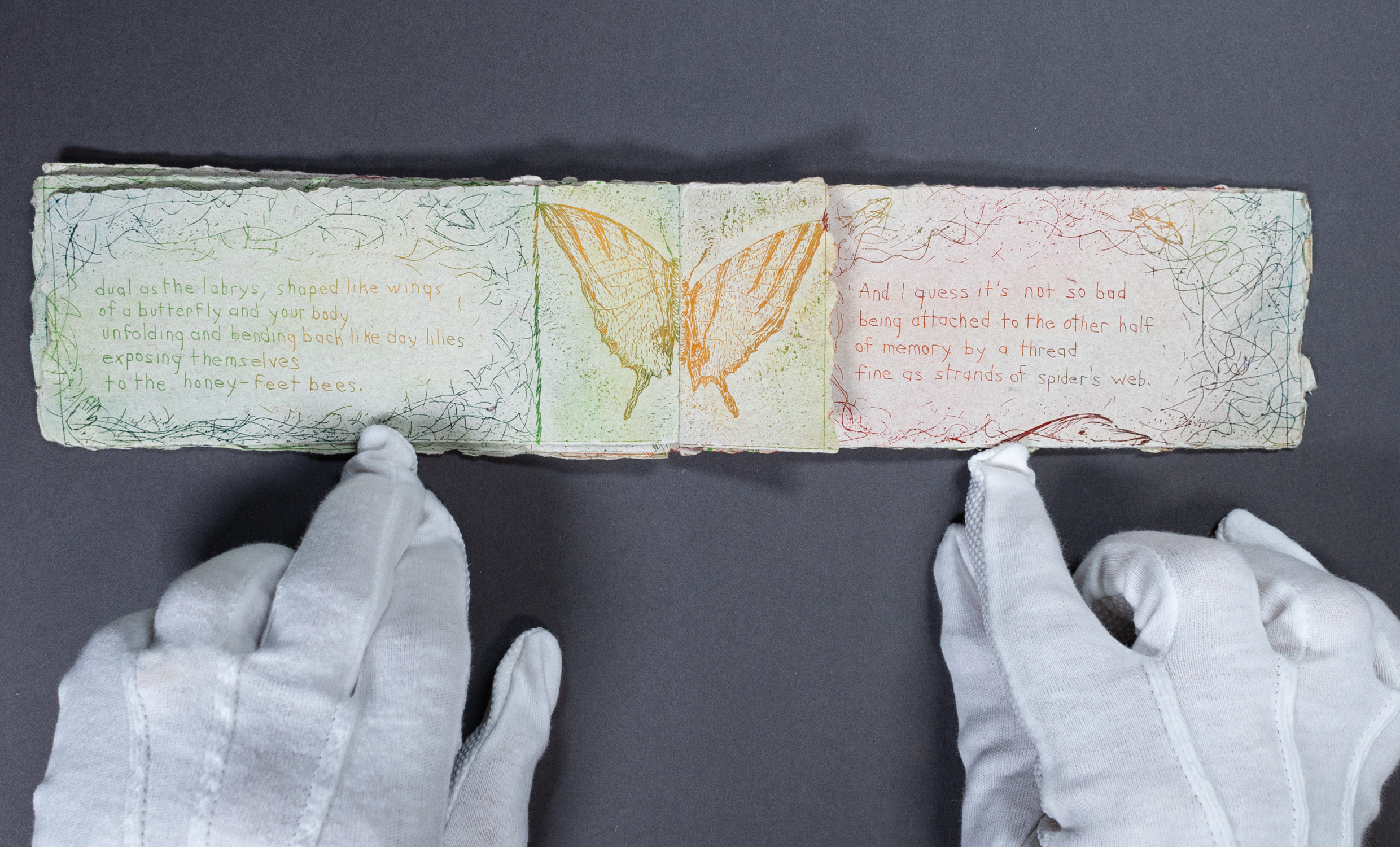 Ann Filemyr; Miller Art Museum Collection; Artist Book Documentation © 2026 Jason Houge Studios, All Rights Reserved