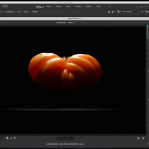 RAW Image Processing and Digital Editing Photo Editing in Adobe Camera RAW - Jason Houge Studios, LLC