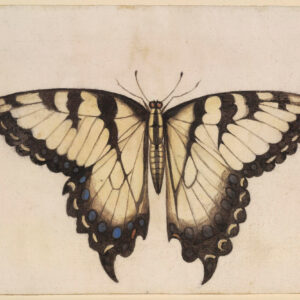 Vintage Etching Reprinted on Moab Entrada; Jason Houge Studios, LLC Photo: © 2025 Jason Houge, All Rights Reserved