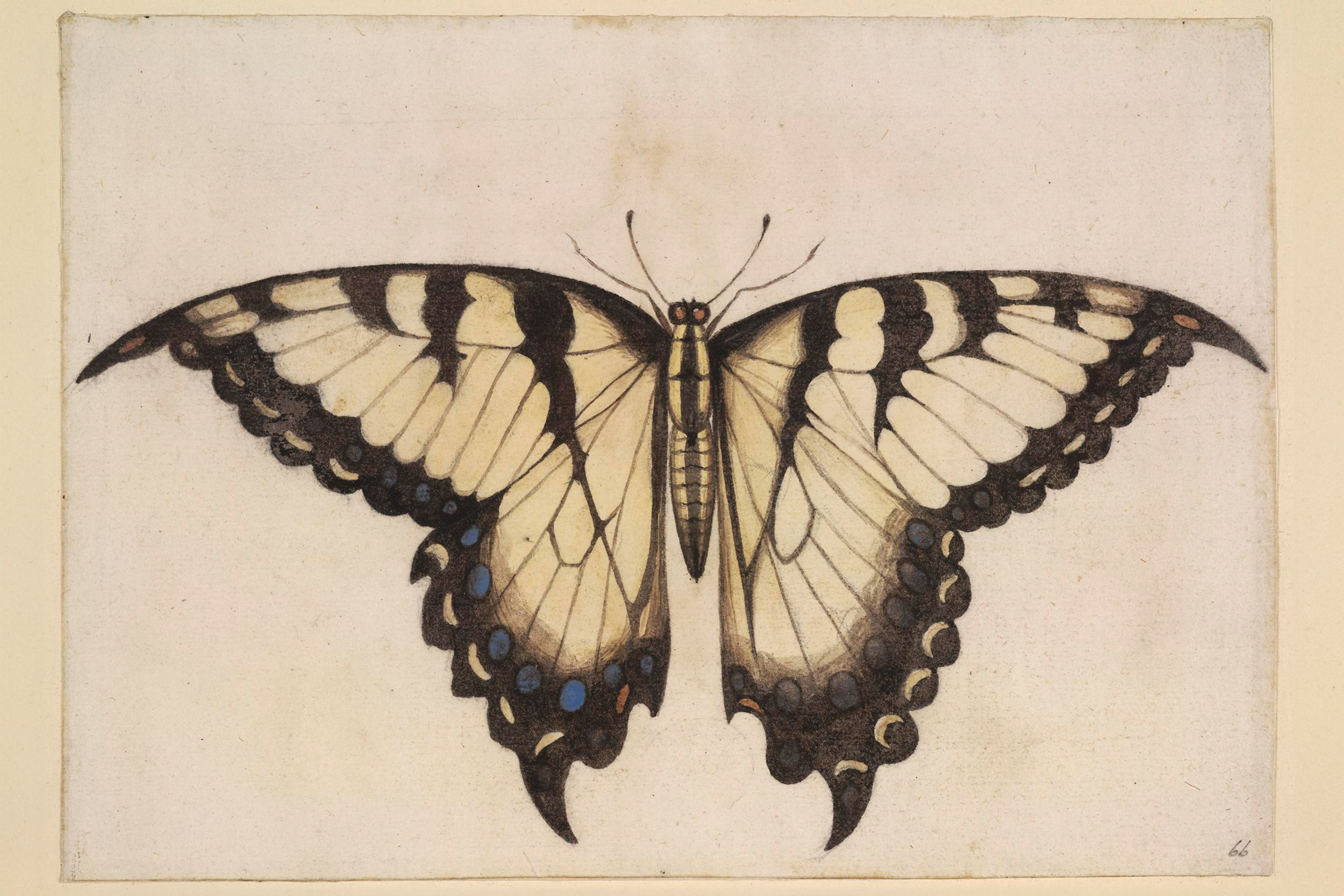 Vintage Etching Reprinted on Moab Entrada; Jason Houge Studios, LLC Photo: © 2025 Jason Houge, All Rights Reserved