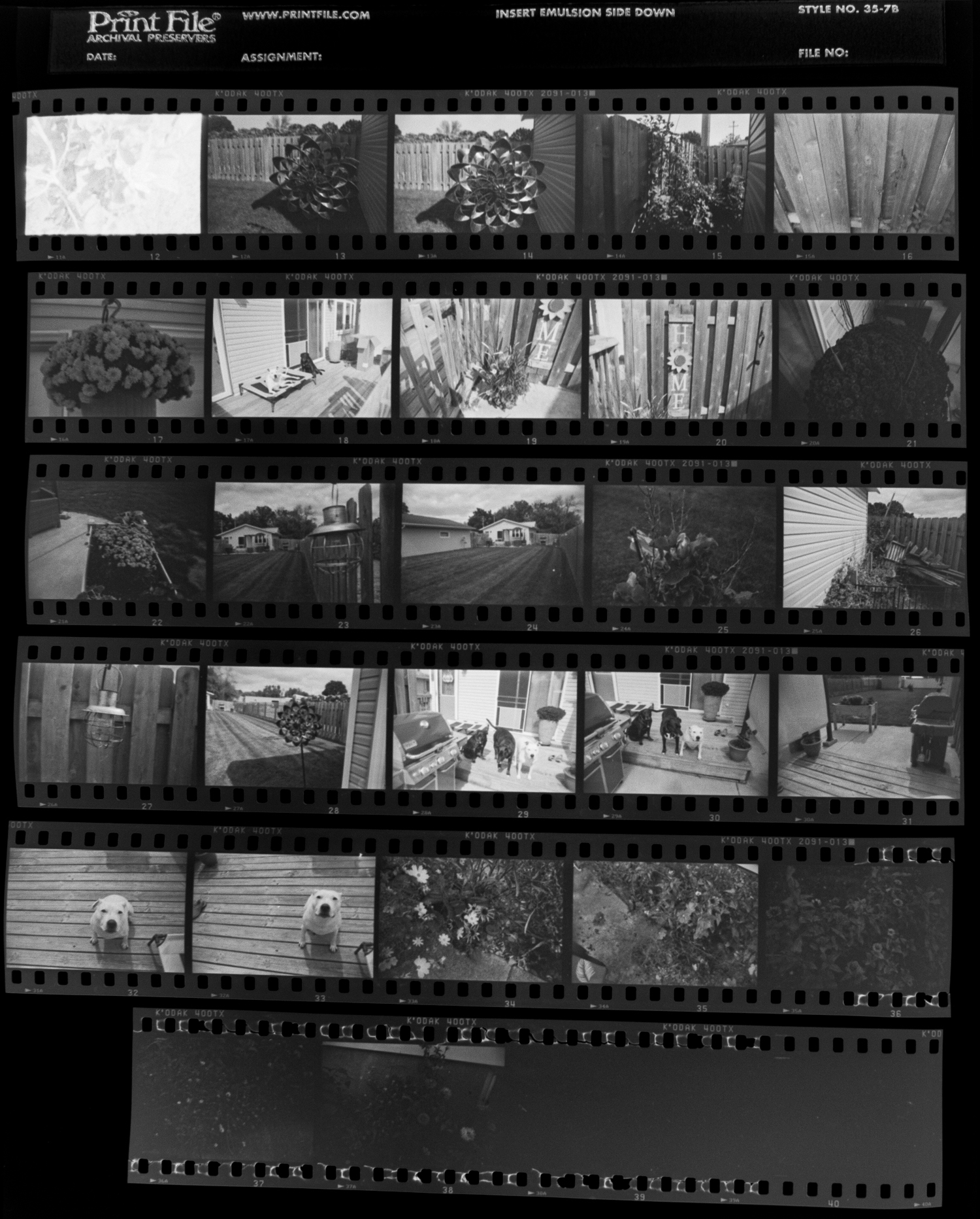 Film Digital Capture: Digital Contact Sheet, 35mm Black and White Film | Jason Houge Studios, LLC