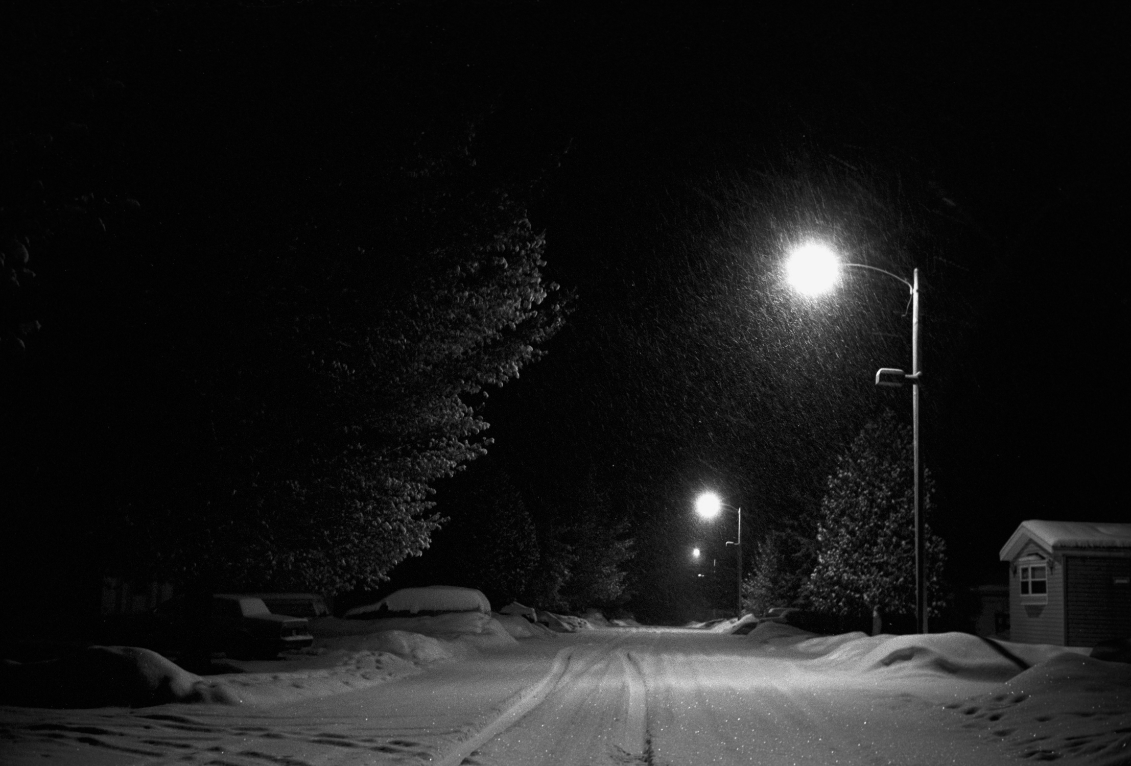 Film Digital Capture: 35mm Black and White Film | Jason Houge Studios, LLC