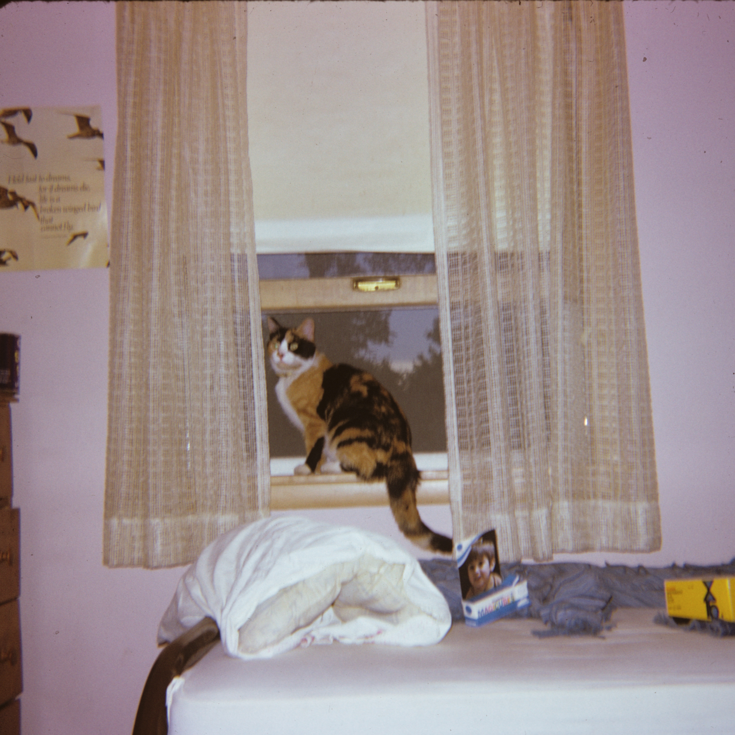 Film Scan: Kodachrome Film | Jason Houge Studios, LLC