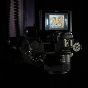 Fine Art Digital Capture Services by Jason Houge Studios © 2025 Jason Houge, All Rights Reserved