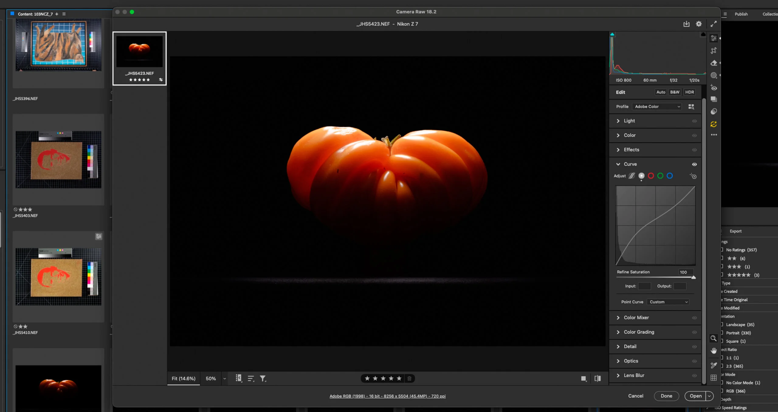 Post-Processing and Digital Retouching Fine Art Image Processing by Jason Houge Studios © 2025 Jason Houge, All Rights Reserved