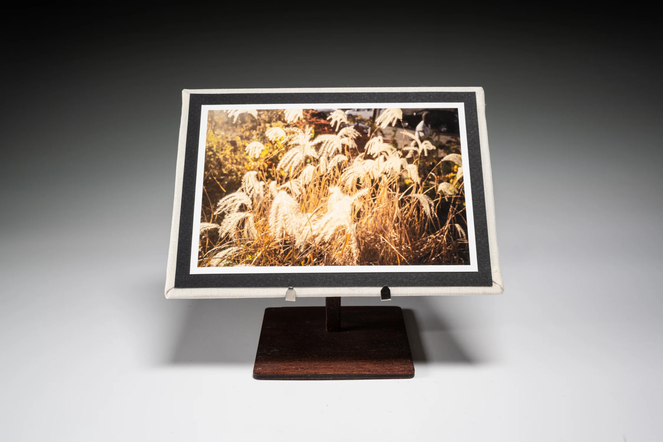 Custom Fine Art Printing; Hahnemühle Photo Rag; Artist: Jason Houge © 2025 Jason Houge, All Rights Reserved