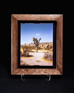 4×5 Kodak Ektar Digitized and Printed on Moab Juniper Baryta Paper