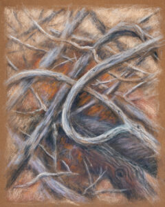 Fine Art Digital Capture; Artist: Elizabeth Tuttle © 2025 Jason Houge, All Rights Reserved
