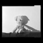 Film Digitizing; ©2026 Jason Houge, All Rights Reserved