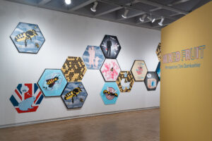 Exhibition Documentation; Artist: Toni Damkoehler; © 2025 Jason Houge, All Rights Reserved